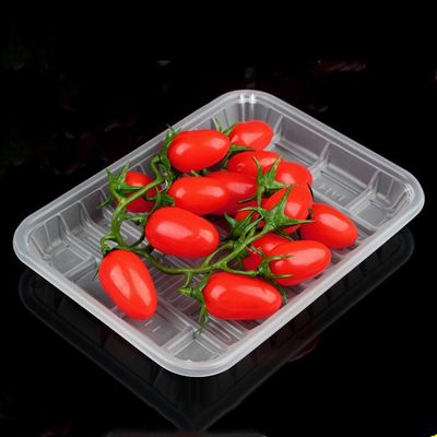 Wegwerfplastikschale und Platten-Herstellungs-Maschine mit gutem Preis fournisseur