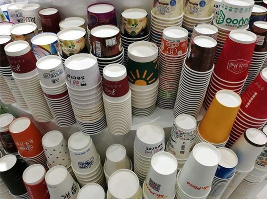 Dauerhafte Papier- Schalen-Verpackungsmaschine Dreiphasen-50 Hz eine Jahr-Garantie fournisseur
